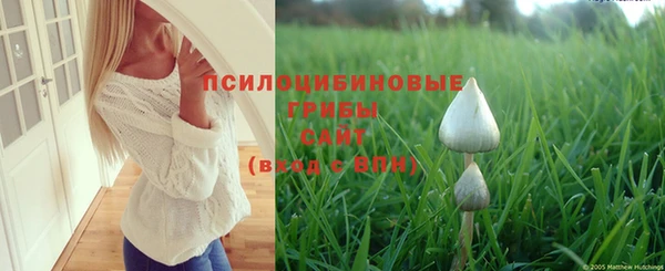 гидра Горно-Алтайск