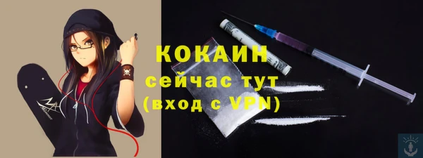 гидра Горно-Алтайск