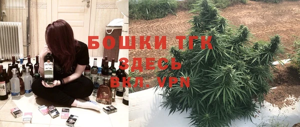 гидра Горно-Алтайск
