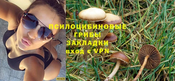 амфетамин Гусь-Хрустальный