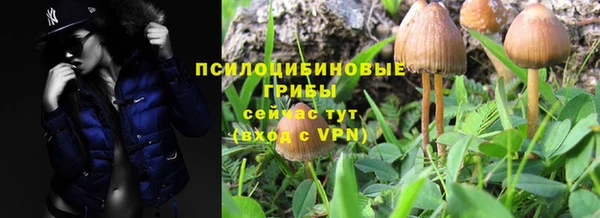 гидра Горно-Алтайск