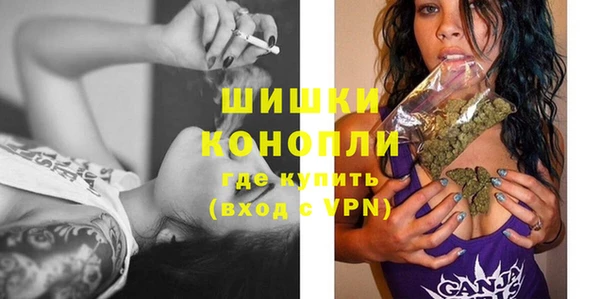 гидра Горно-Алтайск